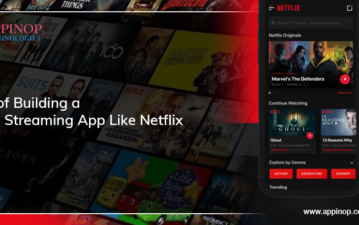 Cost of building video streaming app
